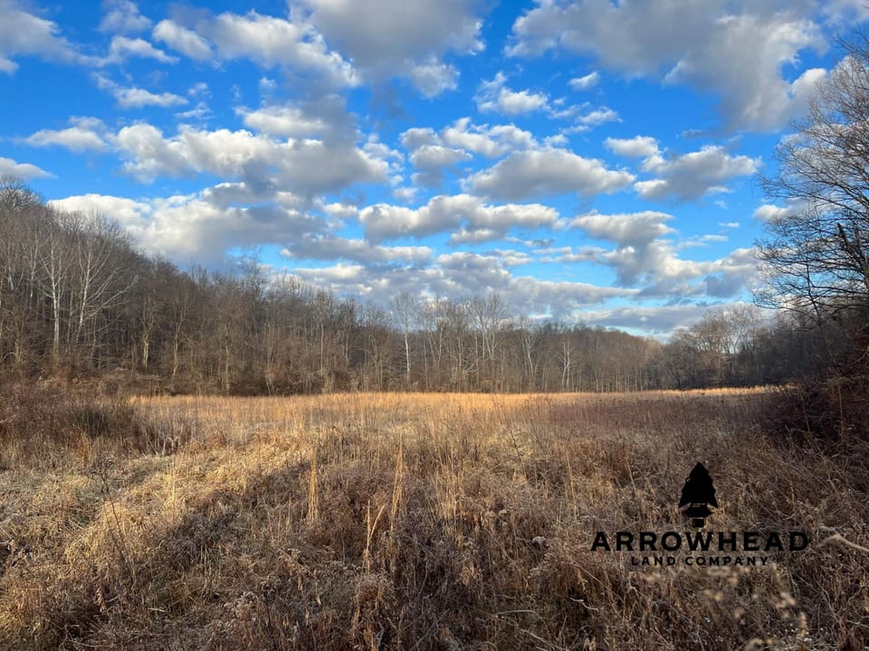 Beautiful Build Site or Recreational Property