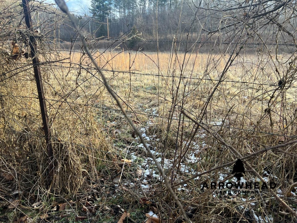 Beautiful Build Site or Recreational Property
