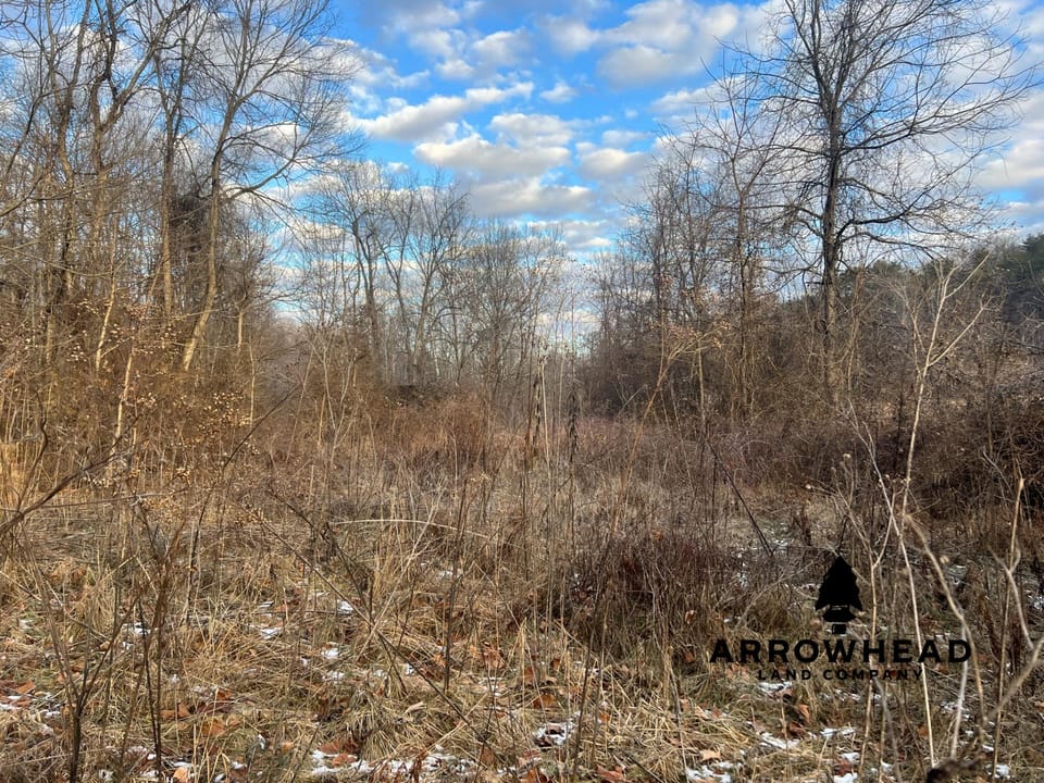Beautiful Build Site or Recreational Property