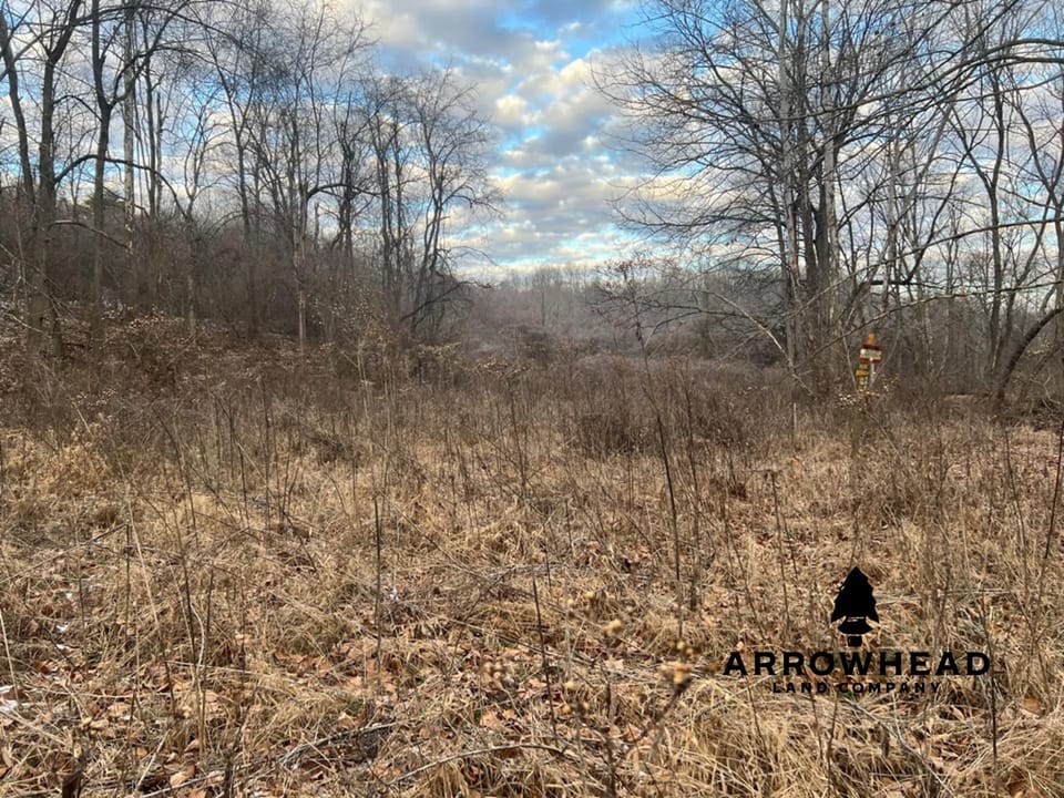 Beautiful Build Site or Recreational Property