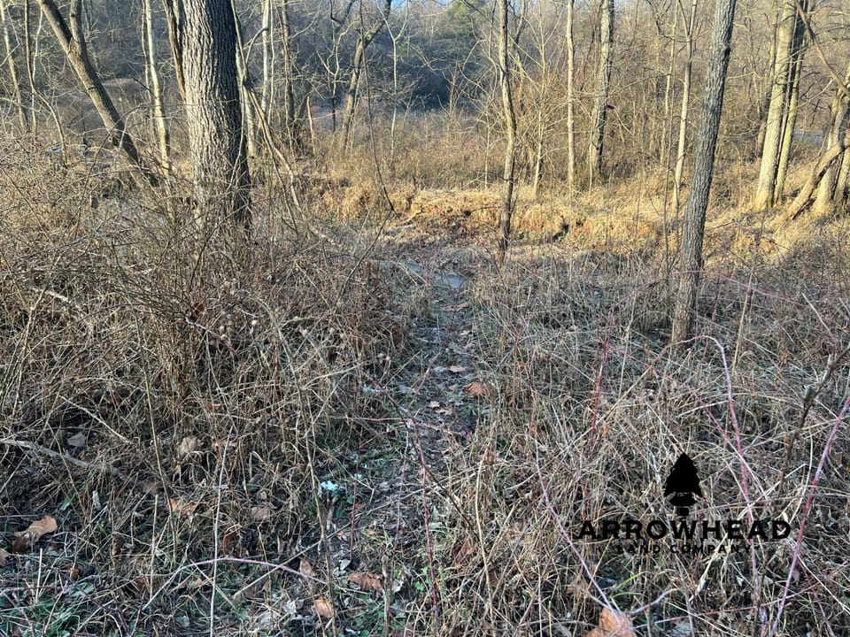 Beautiful Build Site or Recreational Property