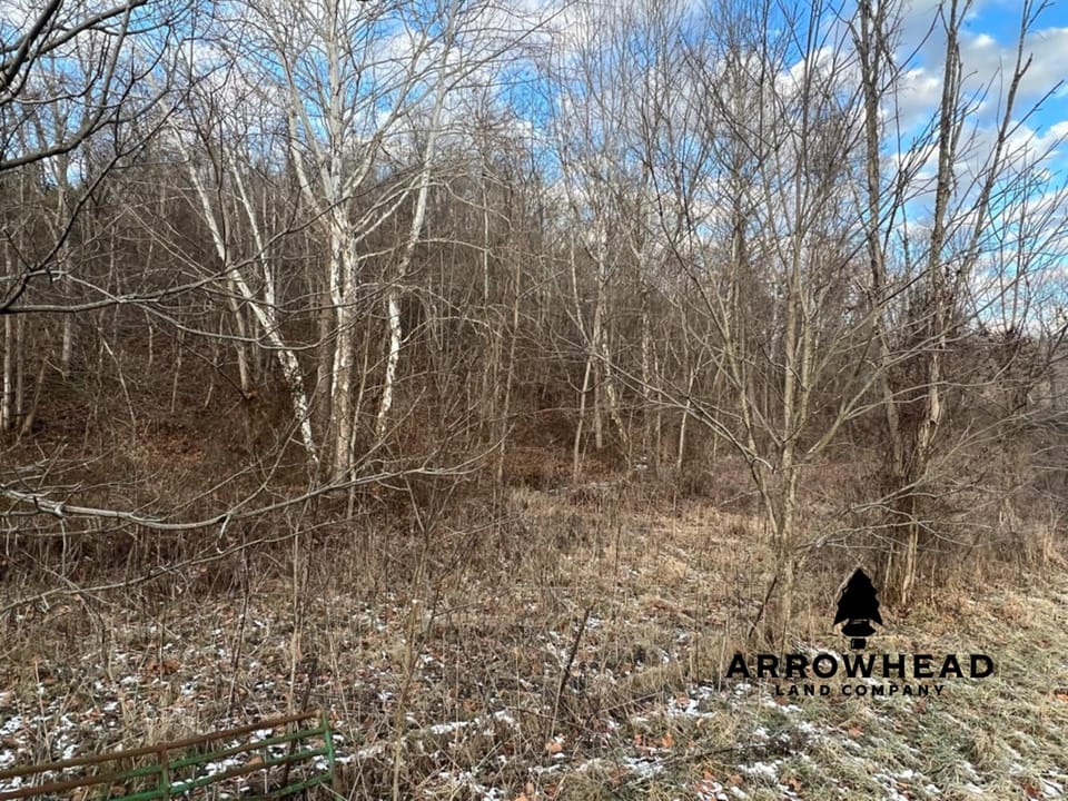 Beautiful Build Site or Recreational Property