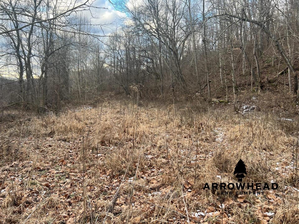 Beautiful Build Site or Recreational Property