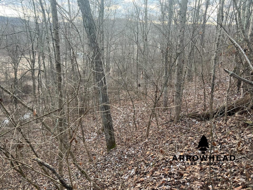 Beautiful Build Site or Recreational Property