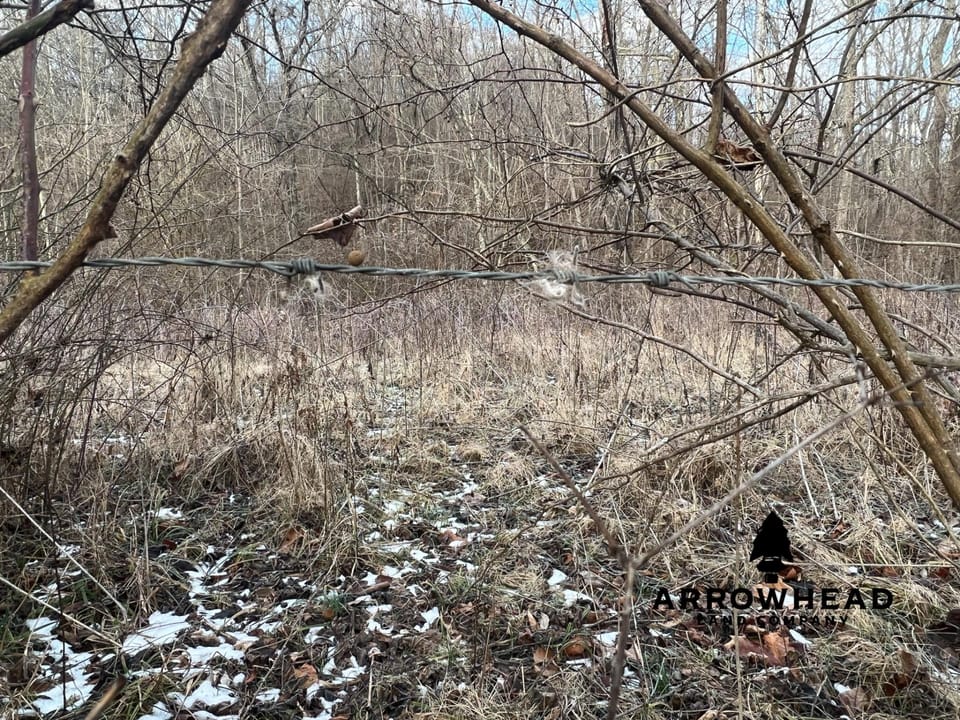 Beautiful Build Site or Recreational Property