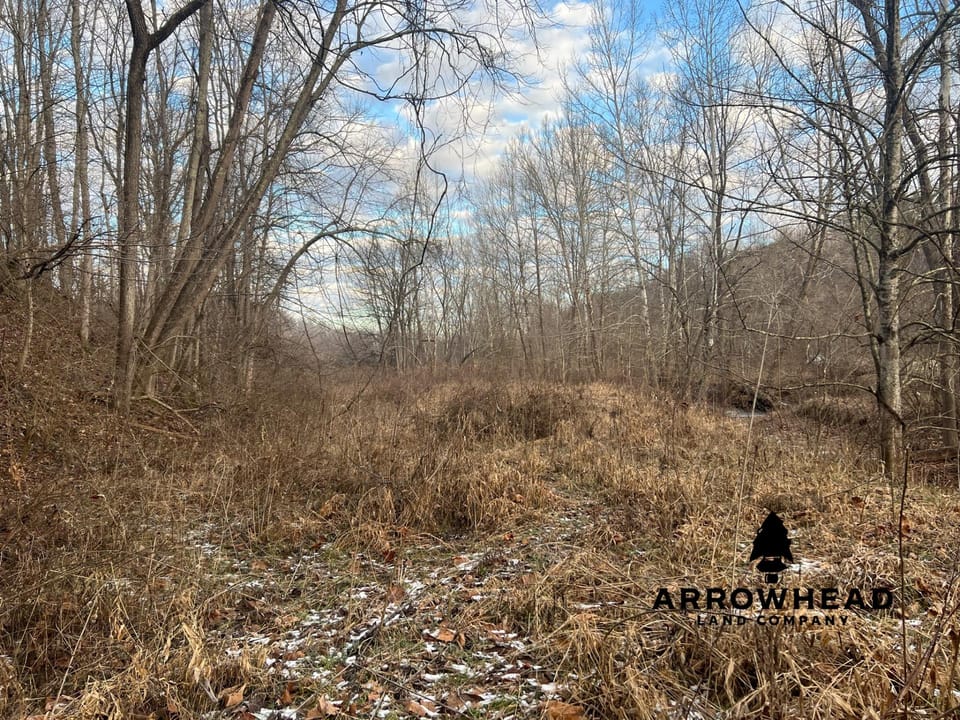 Beautiful Build Site or Recreational Property