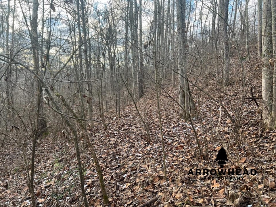 Beautiful Build Site or Recreational Property