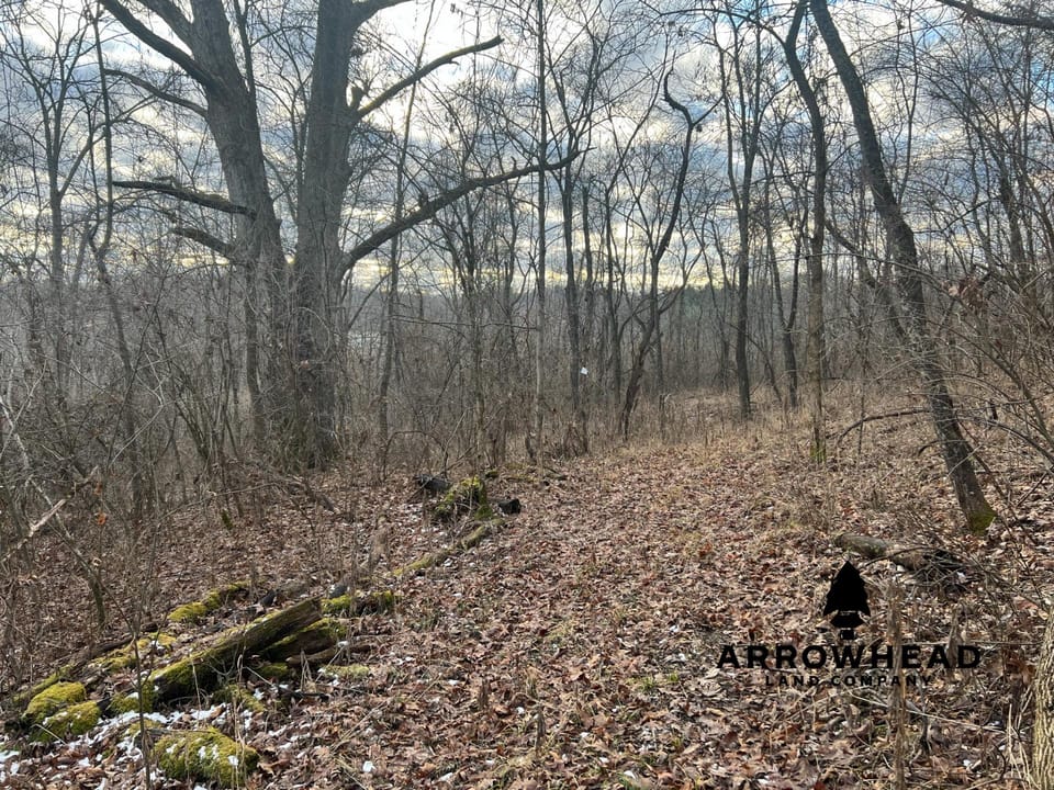 Beautiful Build Site or Recreational Property