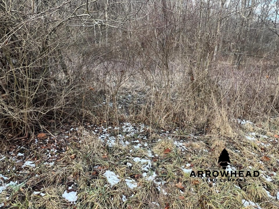 Beautiful Build Site or Recreational Property