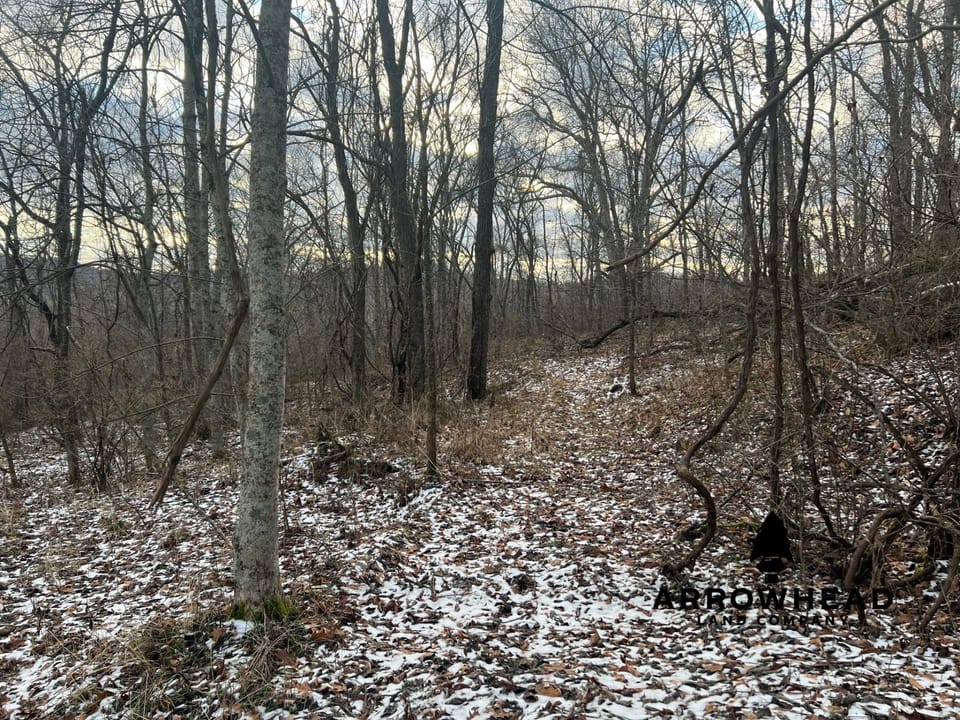 Beautiful Build Site or Recreational Property