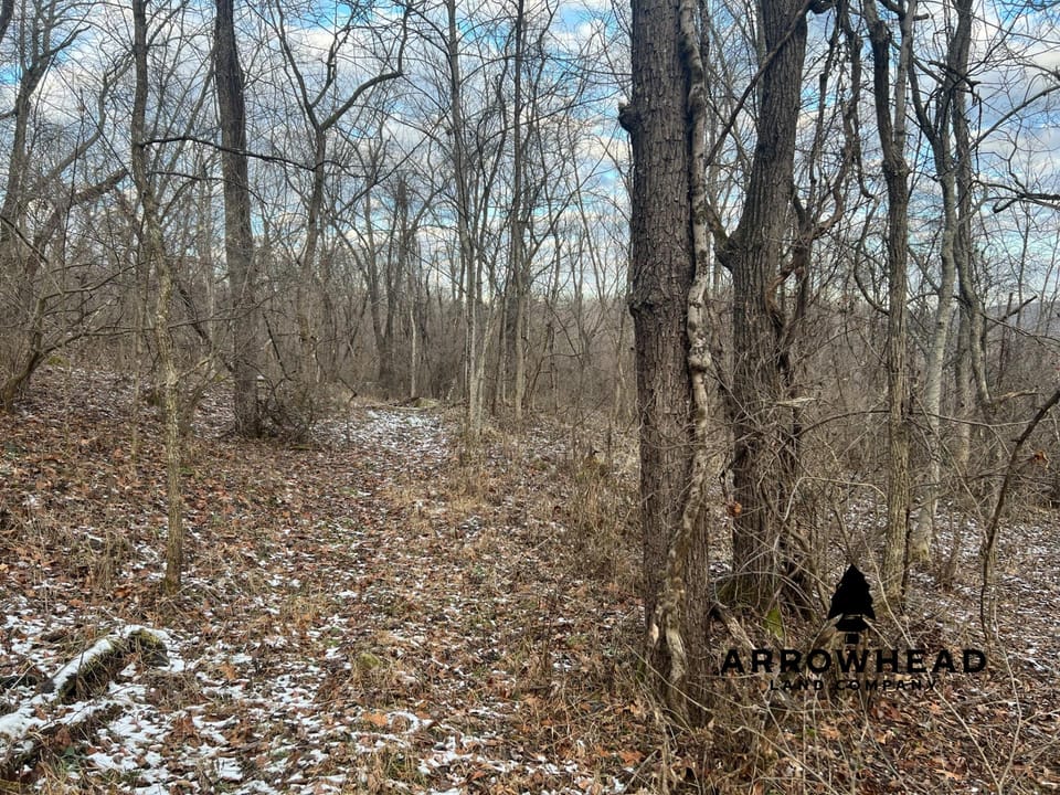 Beautiful Build Site or Recreational Property