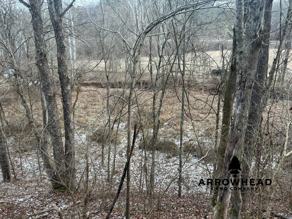 Beautiful Build Site or Recreational Property
