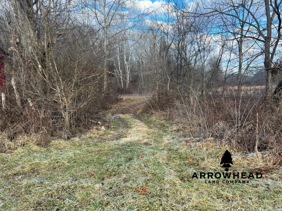 Beautiful Build Site or Recreational Property
