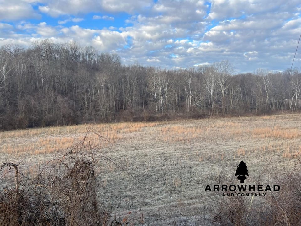 Beautiful Build Site or Recreational Property