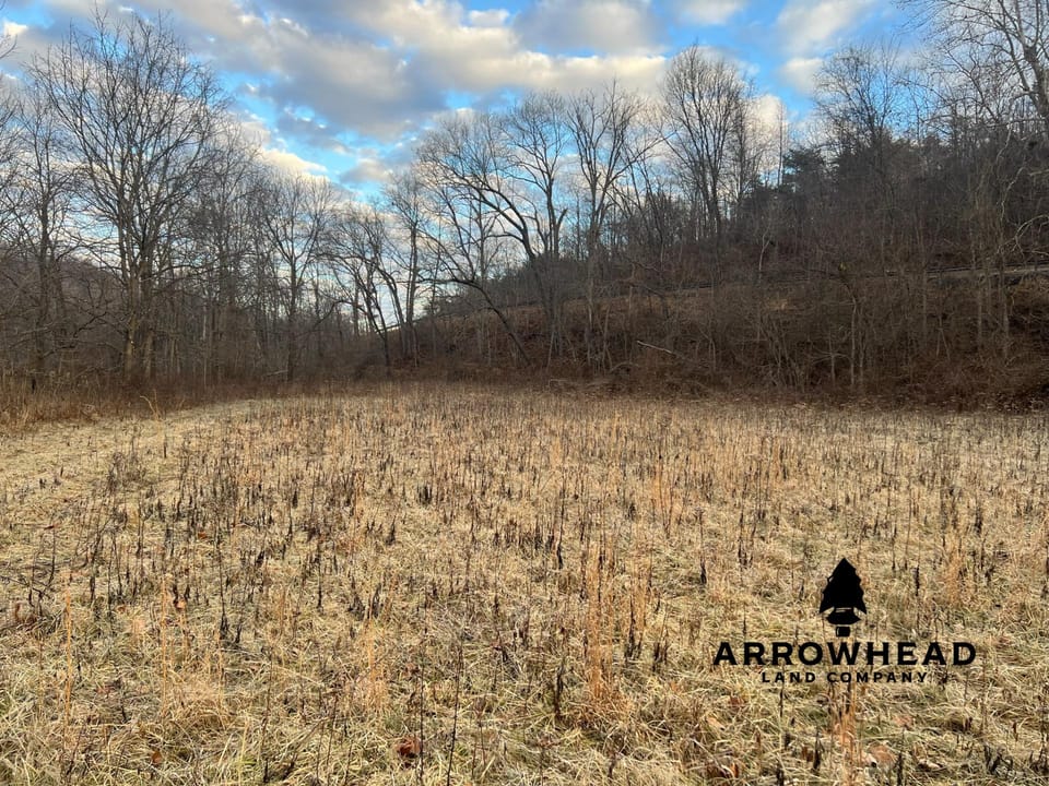 Beautiful Build Site or Recreational Property
