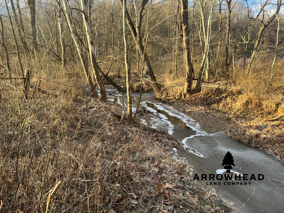Beautiful Build Site or Recreational Property