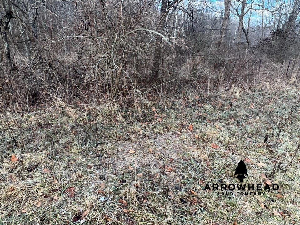 Beautiful Build Site or Recreational Property