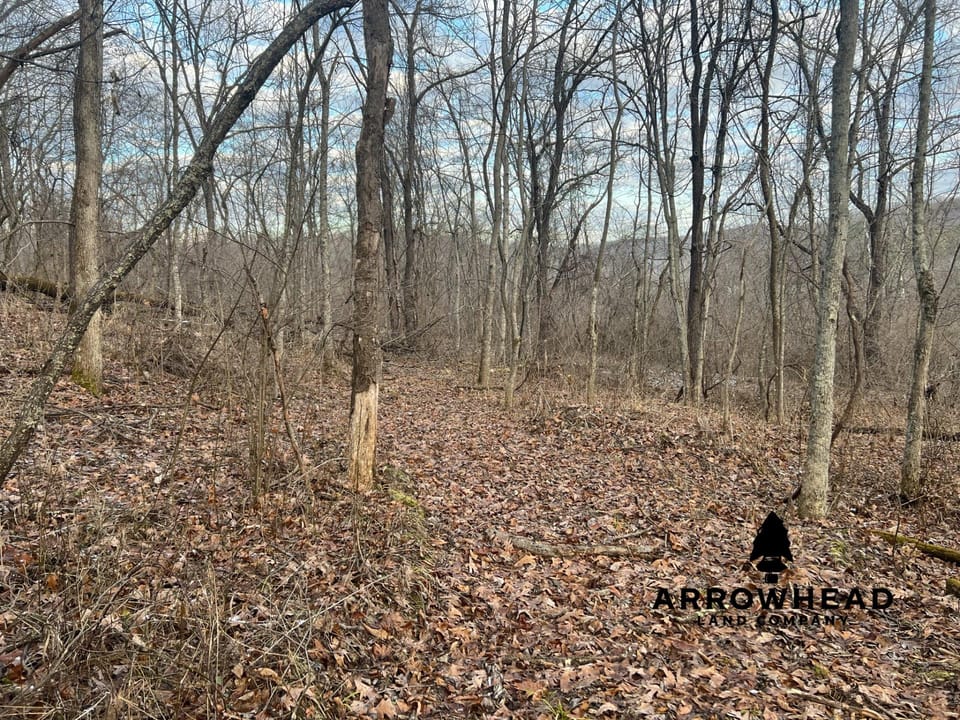 Beautiful Build Site or Recreational Property