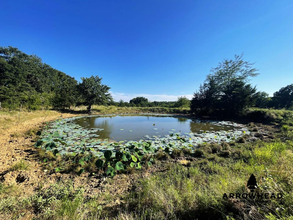 Secluded Hunting Tract