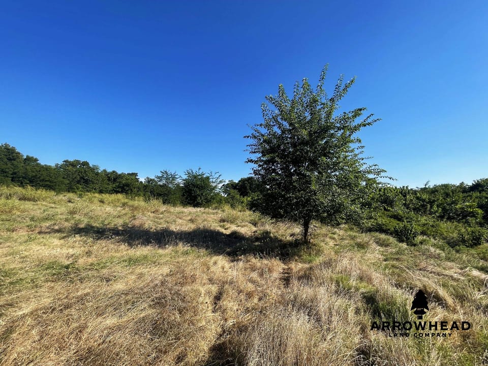 Secluded Hunting Tract