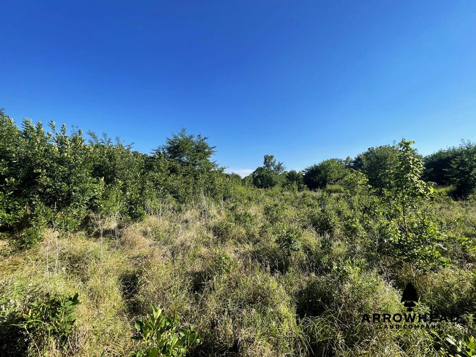 Secluded Hunting Tract