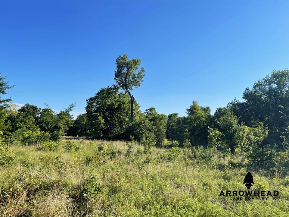 Secluded Hunting Tract
