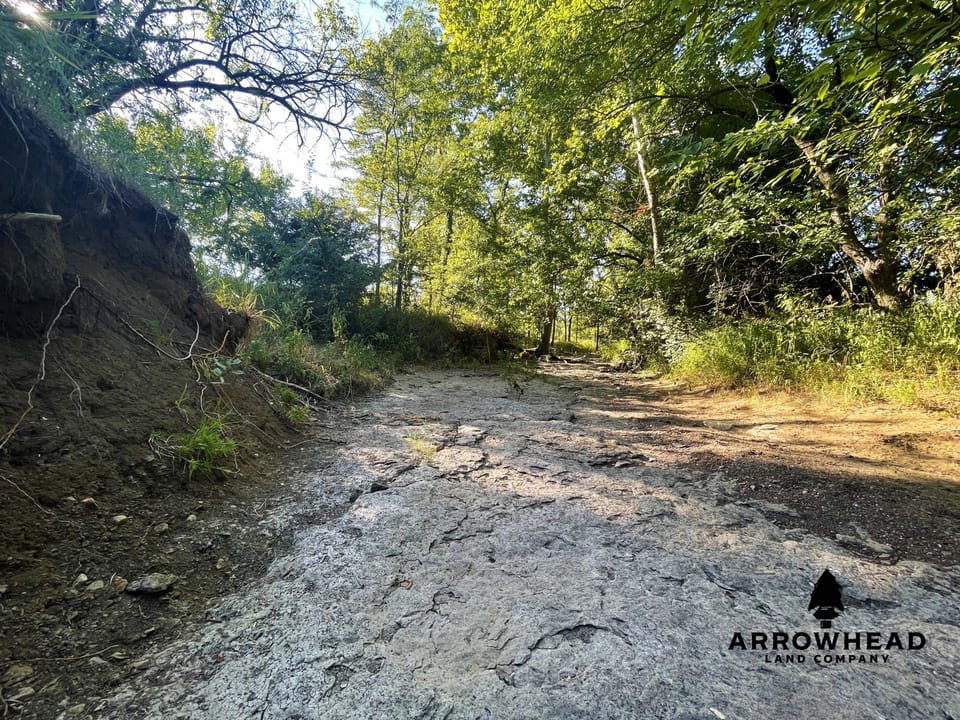 Secluded Hunting Tract