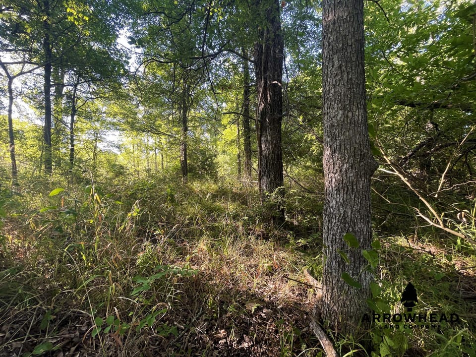 Secluded Hunting Tract