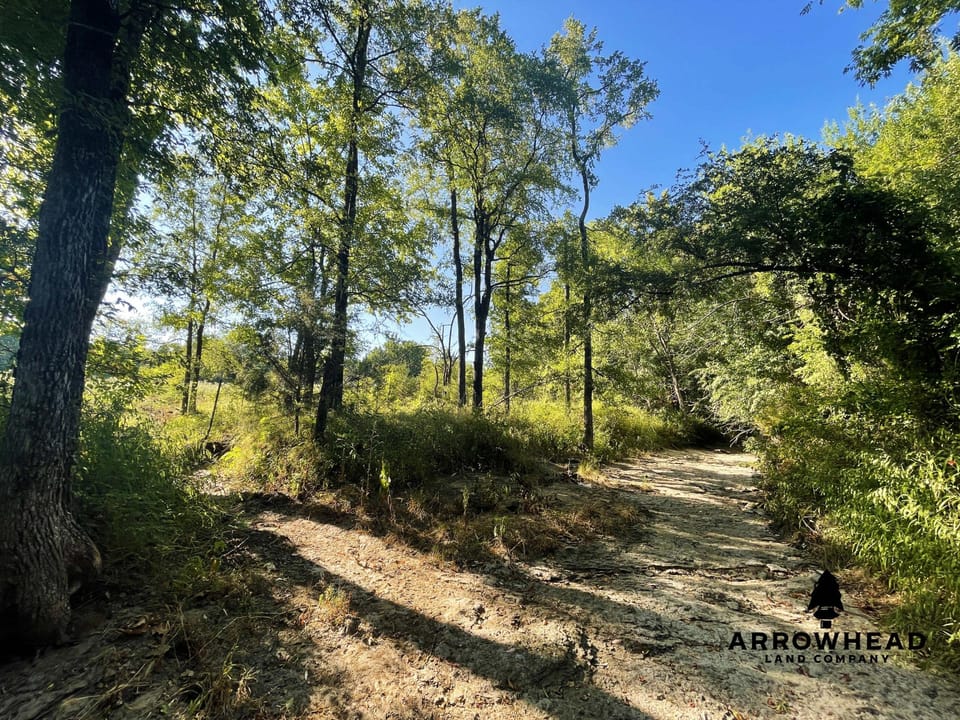 Secluded Hunting Tract
