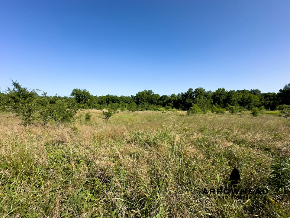 Mallard Mountain Ranch