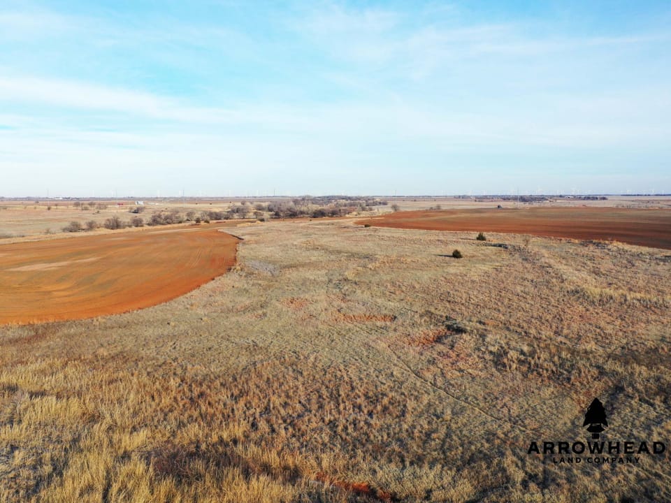 The Old Homestead 160