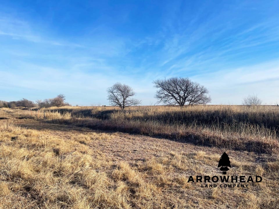 The Old Homestead 160