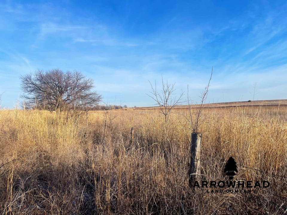 The Old Homestead 160