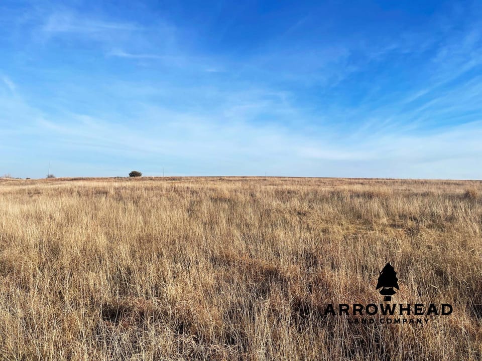 The Old Homestead 160