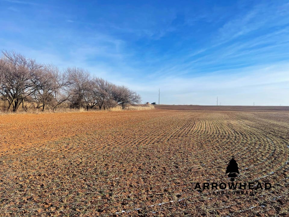 The Old Homestead 160