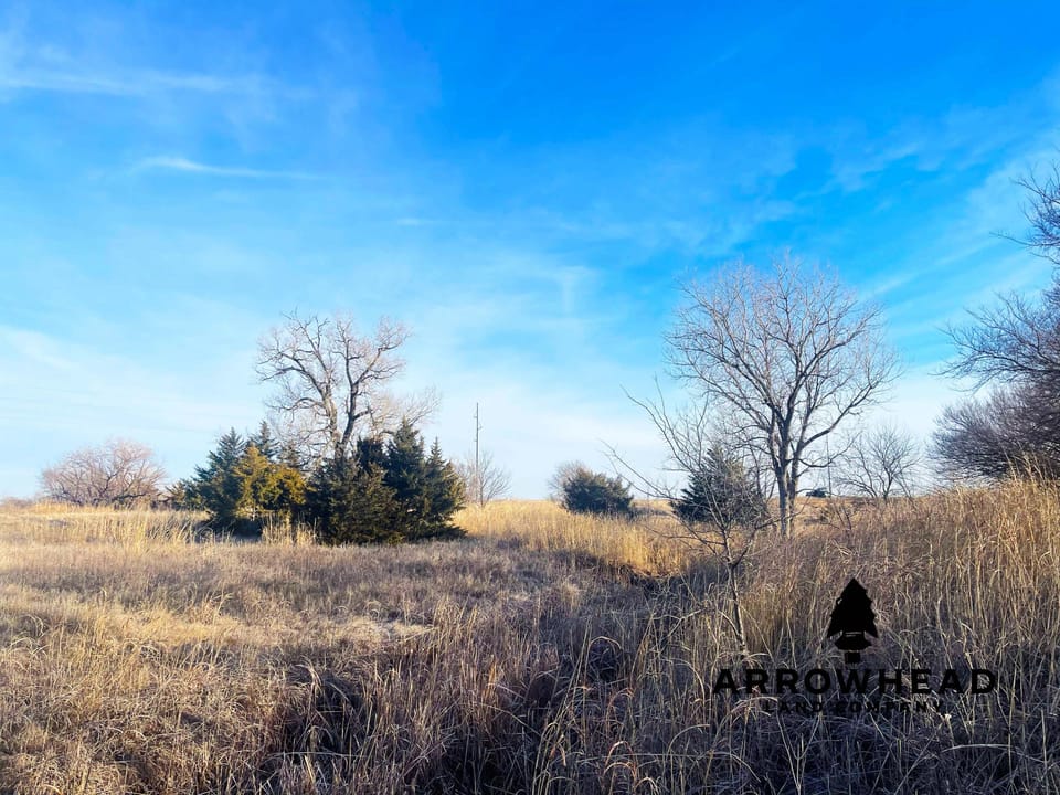 The Old Homestead 160