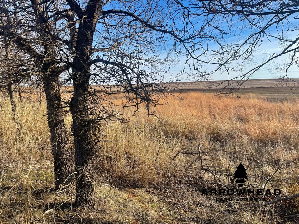The Old Homestead 160