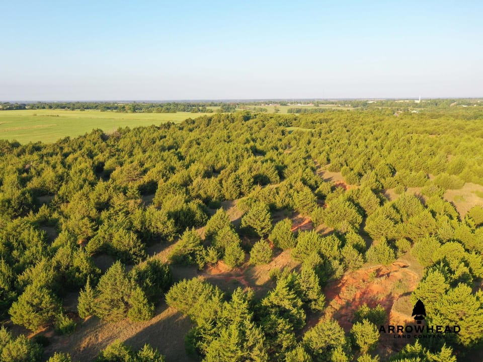 Secluded, Convenient, and Affordable Acreage