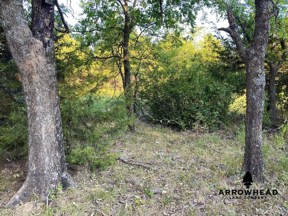 Secluded, Convenient, and Affordable Acreage