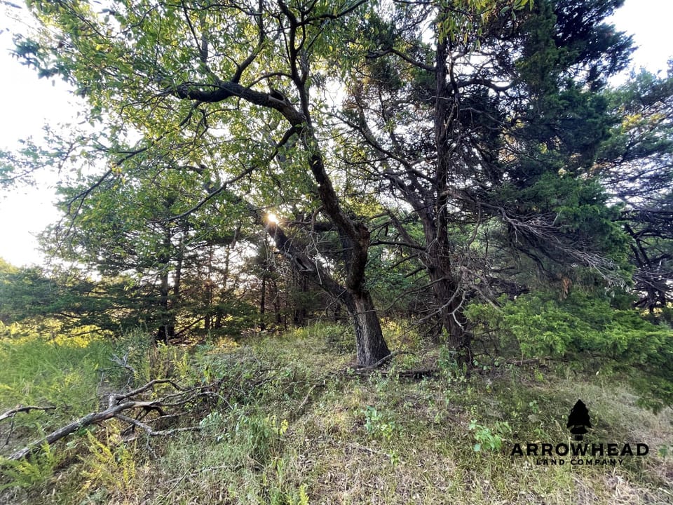 Secluded, Convenient, and Affordable Acreage