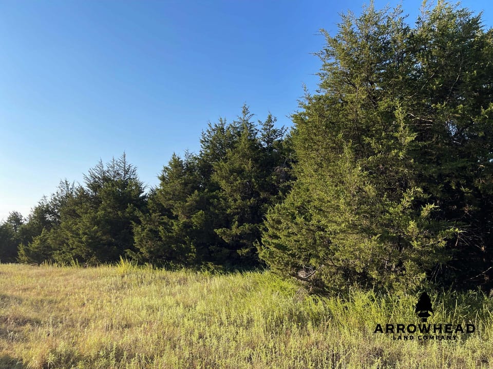 Secluded, Convenient, and Affordable Acreage