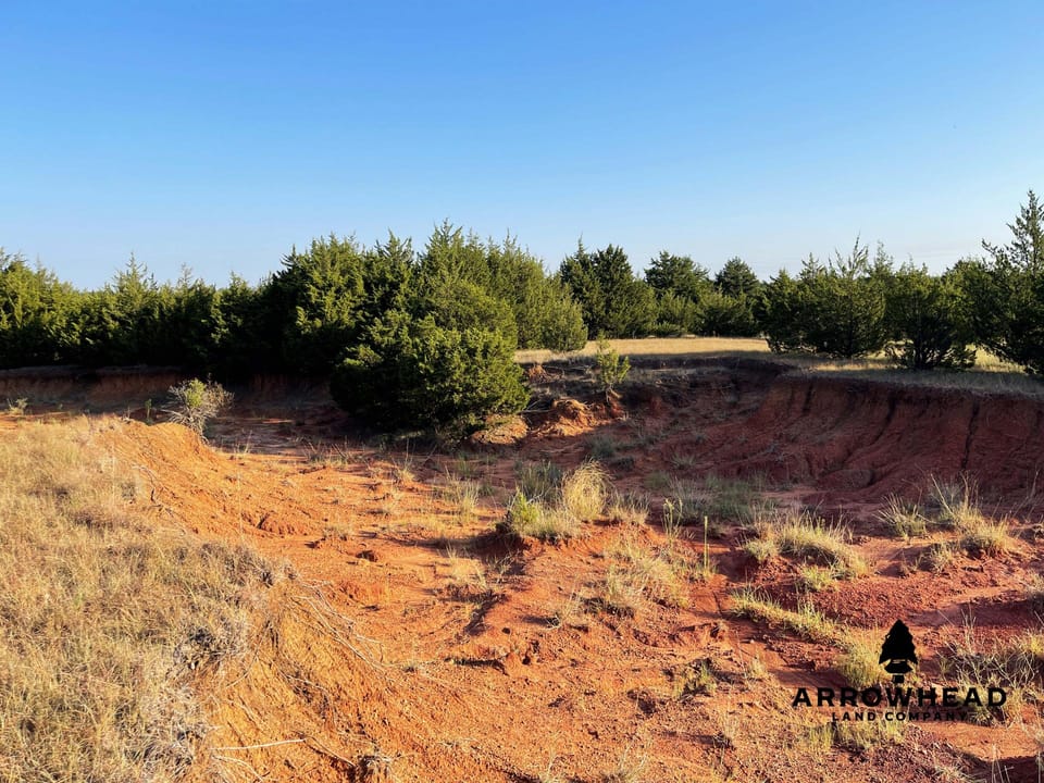 Secluded, Convenient, and Affordable Acreage