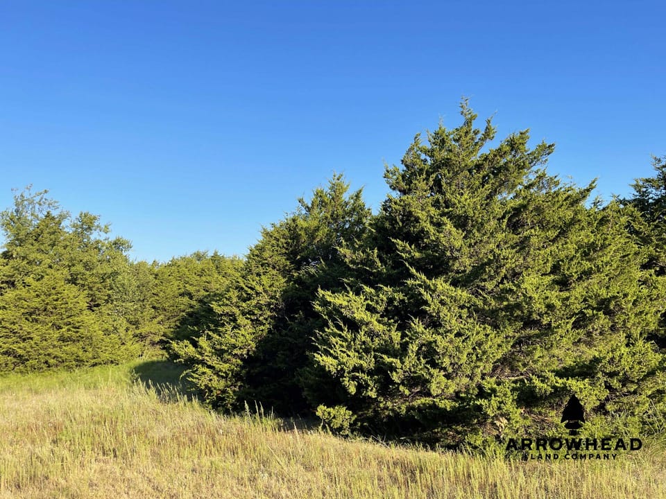 Secluded, Convenient, and Affordable Acreage