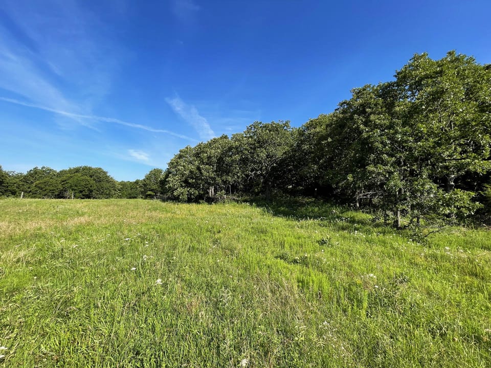 Incredible Oak Timber Parcel