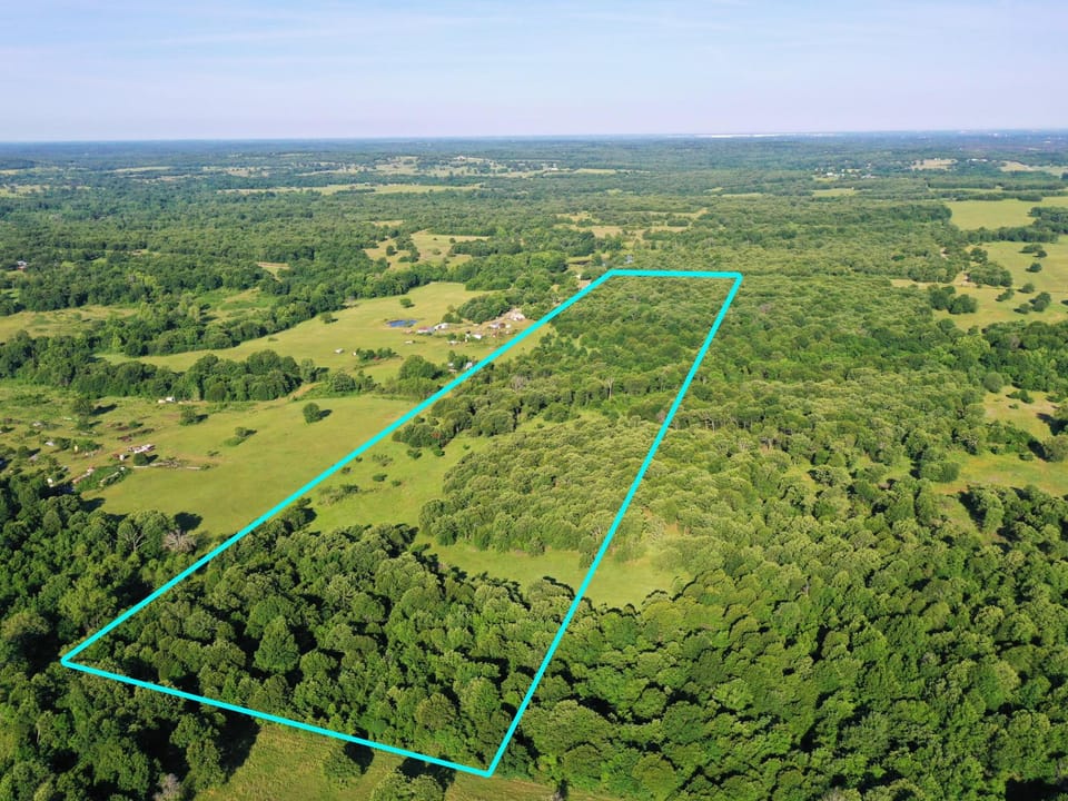 Incredible Oak Timber Parcel