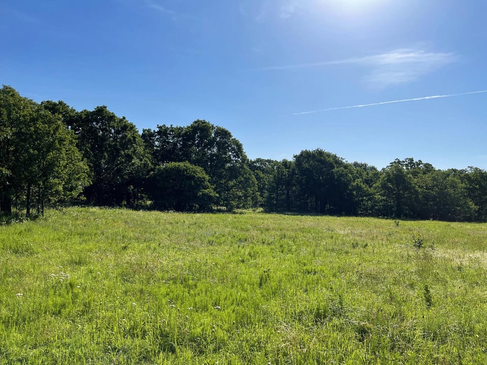 Incredible Oak Timber Parcel