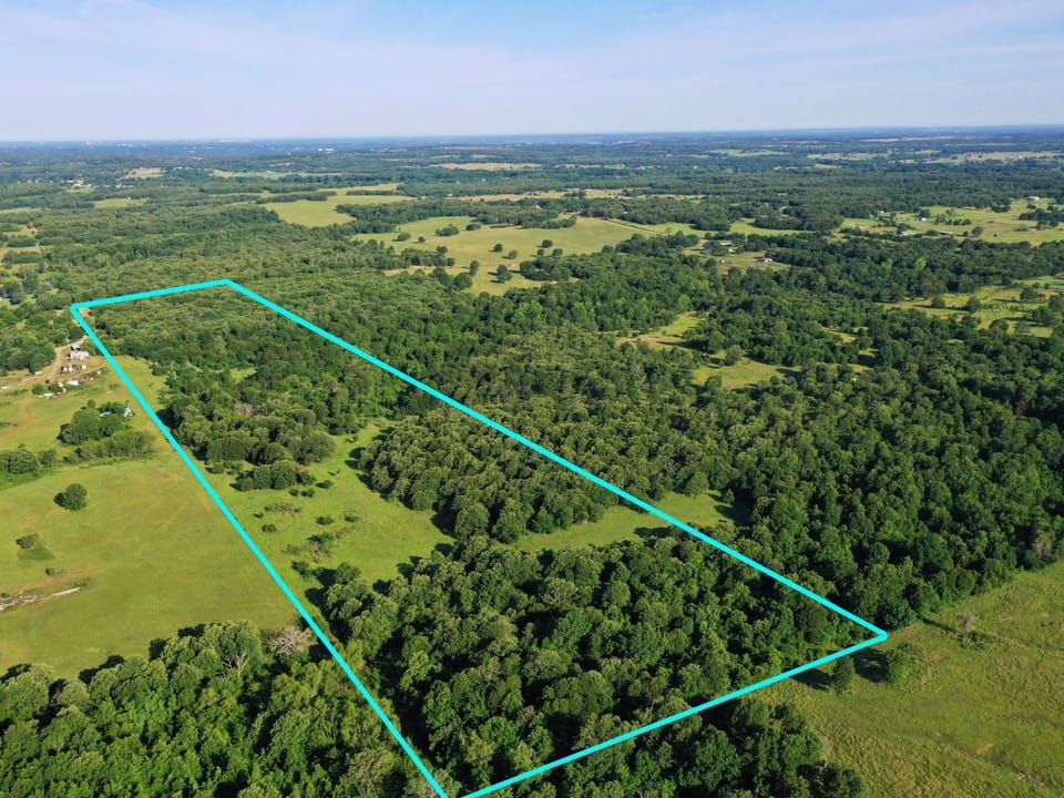 Incredible Oak Timber Parcel