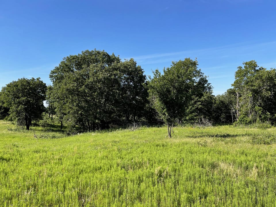 Incredible Oak Timber Parcel