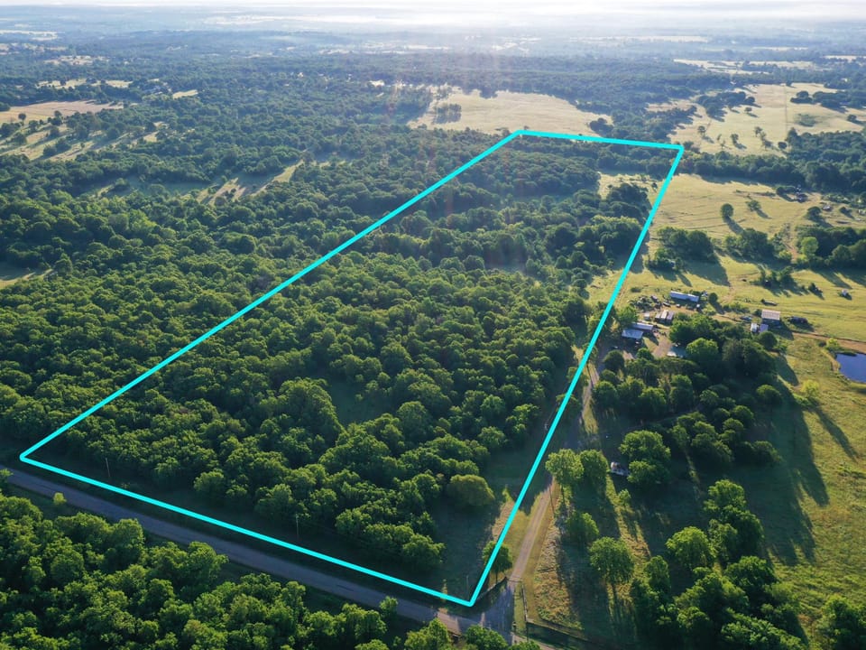 Incredible Oak Timber Parcel