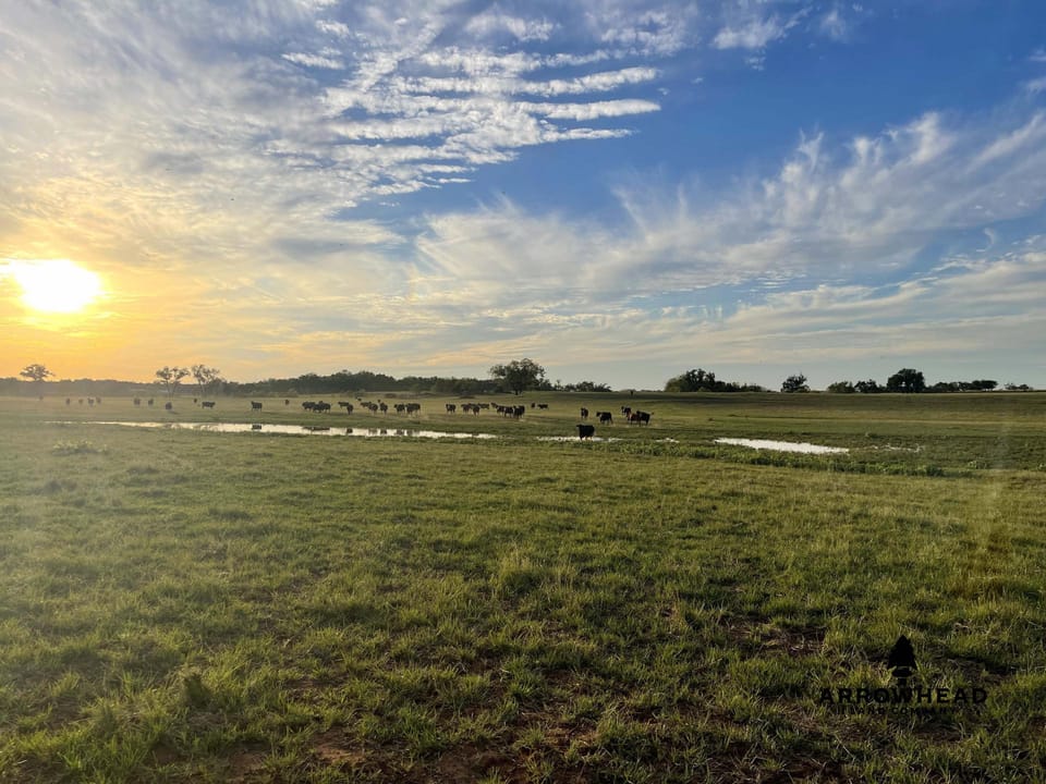 Beaver Creek Farm